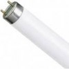 Лампа Selecta T8 10W 4200К  G13